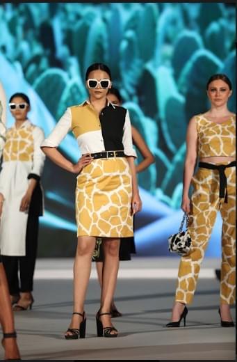 Satyam Fashion Institute Noida Triptych photo 6